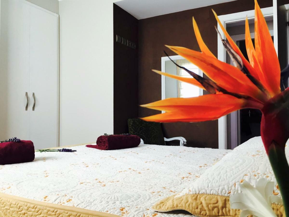 Apartmán Lo Raconet Deltebre Exteriér fotografie